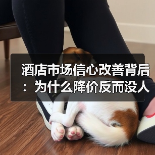 酒店市场信心改善背后：为什么降价反而没人住？（图2）