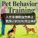 入住率指数由负转正：我踩过的坑和爬出来的路（图2）