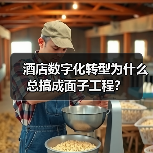 酒店数字化转型为什么总搞成面子工程？（图3）