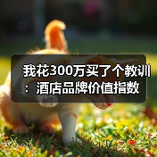 我花300万买了个教训：酒店品牌价值指数