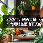 2026年,别再盲目下沉:有限服务酒店下沉的3个残酷真相(图2) 2026年,别再盲目下沉:有限服务酒店下沉的3个残酷真相(图2)
