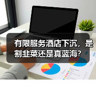 有限服务酒店下沉,是割韭菜还是真蓝海?(图3) 有限服务酒店下沉,是割韭菜还是真蓝海?(图3)