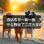 酒店布草一客一换，为什么我住了三次五星级全踩坑？（图3）