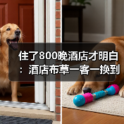 住了800晚酒店才明白：酒店布草一客一换到底有多难？（图2）