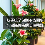 蚊子咬了包别不当回事：虫媒传染病防控我踩过的坑（图3）