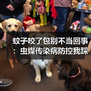 蚊子咬了包别不当回事：虫媒传染病防控我踩过的坑（图2）