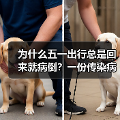 为什么五一出行总是回来就病倒？一份传染病防控实操指南（图2）