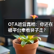 OTA运营真相：你还在被平台牵着鼻子走？（图2）