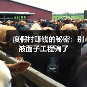 度假村赚钱的秘密:别被面子工程骗了(图4) 度假村赚钱的秘密:别被面子工程骗了(图4)