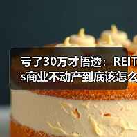 亏了30万才悟透:REITs商业不动产到底该怎么投(图1) 亏了30万才悟透:REITs商业不动产到底该怎么投(图1)