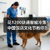 花1200块请客被冷落?中国饭店文化节教你怎么选对餐厅(图2) 花1200块请客被冷落?中国饭店文化节教你怎么选对餐厅(图2)