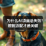 为什么AI项目总失败？数据适配才是关键（图4）