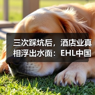 三次踩坑后，酒店业真相浮出水面：EHL中国酒店展望如何重塑认知？（图2）