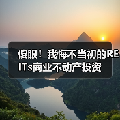 傻眼！我悔不当初的REITs商业不动产投资（图1）