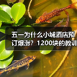 五一为什么小城酒店预订爆涨？1200块的教训告诉你真相（图1）