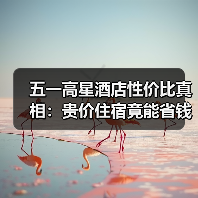 五一高星酒店性价比真相：贵价住宿竟能省钱？（图4）
