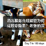 酒店服务合规监管为何成致命隐患？老张的深夜惨案暴露真相（图3）