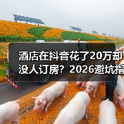 酒店在抖音花了20万却没人订房？2026避坑指南（图2）