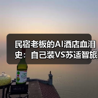 民宿老板的AI酒店血泪史：自己装VS苏适智旅，值不值？（图3）