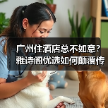 广州住酒店总不如意？雅诗阁优选如何颠覆传统住宿体验（图3）