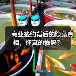 商业签约背后的隐藏真相，你真的懂吗？（图2）