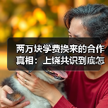 两万块学费换来的合作真相:上饶共识到底怎么用?(图4) 两万块学费换来的合作真相:上饶共识到底怎么用?(图4)