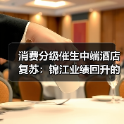 消费分级催生中端酒店复苏:锦江业绩回升的深层逻辑(图4) 消费分级催生中端酒店复苏:锦江业绩回升的深层逻辑(图4)