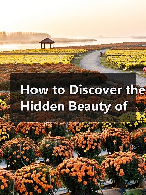 How to Discover the Hidden Beauty of Wuming Yingjun Village: A Complete Traveler’s Guide(图4) How to Discover the Hidden Beauty of Wuming Yingjun Village: A Complete Traveler’s Guide(图4)