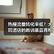 热搜流量转化率低？大同酒店的教训暴露真相（图4）