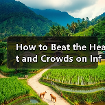 How to Beat the Heat and Crowds on Info Mountain This Summer? A Complete Practical Guide(图2) How to Beat the Heat and Crowds on Info Mountain This Summer? A Complete Practical Guide(图2)
