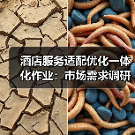 酒店服务适配优化一体化作业:市场需求调研如何扎实实施?(图1) 酒店服务适配优化一体化作业:市场需求调研如何扎实实施?(图1)