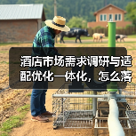酒店市场需求调研与适配优化一体化,怎么落地才不白干?(图1) 酒店市场需求调研与适配优化一体化,怎么落地才不白干?(图1)