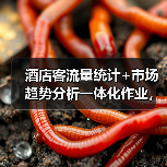 酒店客流量统计+市场趋势分析一体化作业，为什么2026年必须搞？（图3）