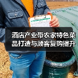 酒店产业带农家特色菜品打造与顾客复购提升5大方法(图1) 酒店产业带农家特色菜品打造与顾客复购提升5大方法(图1)